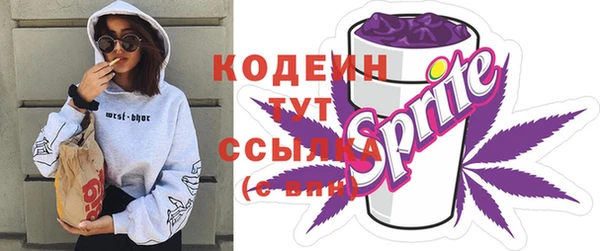 индика Кукмор