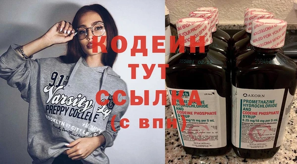 индика Кулебаки