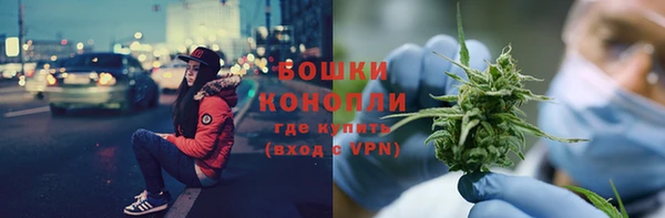 ПСИЛОЦИБИНОВЫЕ ГРИБЫ Богданович