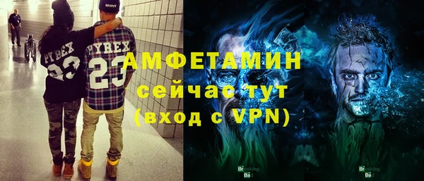 ПСИЛОЦИБИНОВЫЕ ГРИБЫ Богданович