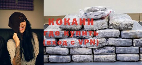 mix Богородицк