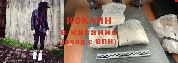 ПСИЛОЦИБИНОВЫЕ ГРИБЫ Богданович