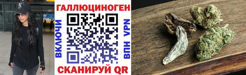 где купить наркоту  Дмитров  Галлюциногенные грибы ЛСД 
